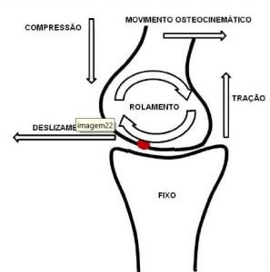 Artrocinemática O Movimento das Articulações Portal Lupmed