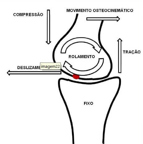 Movimentos Articulares - Osteocinemático